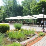 Blog Riverwalk Place, Gladwin, MI
